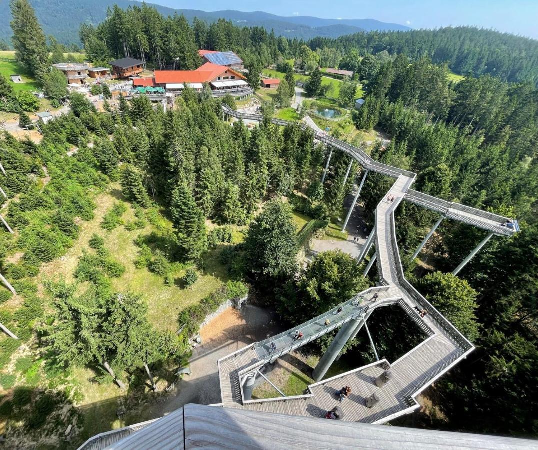 Fewo Amalia Apartment Sankt Englmar Bagian luar foto